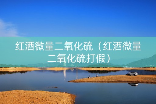 红酒微量二氧化硫（红酒微量二氧化硫打假）