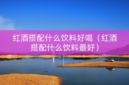 红酒搭配什么饮料好喝（红酒搭配什么饮料最好）