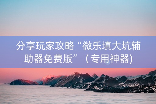 分享玩家攻略“微乐填大坑辅助器免费版”（专用神器)