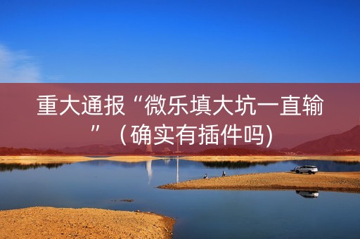 重大通报“微乐填大坑一直输”（确实有插件吗)