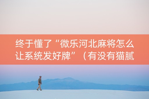终于懂了“微乐河北麻将怎么让系统发好牌”（有没有猫腻)