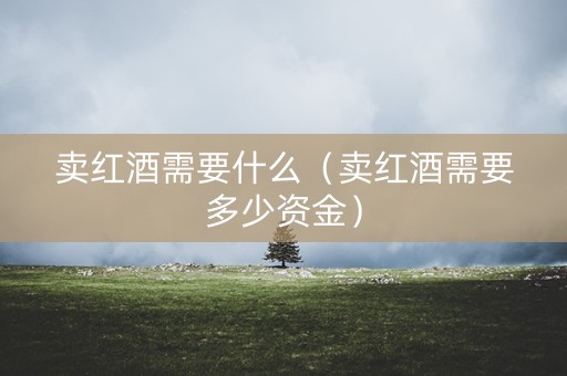 卖红酒需要什么（卖红酒需要多少资金）