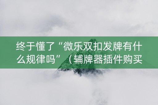 终于懂了“微乐双扣发牌有什么规律吗”（辅牌器插件购买)