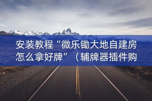 安装教程“微乐锄大地自建房怎么拿好牌”（辅牌器插件购买)