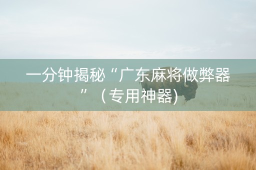 一分钟揭秘“广东麻将做弊器”（专用神器)