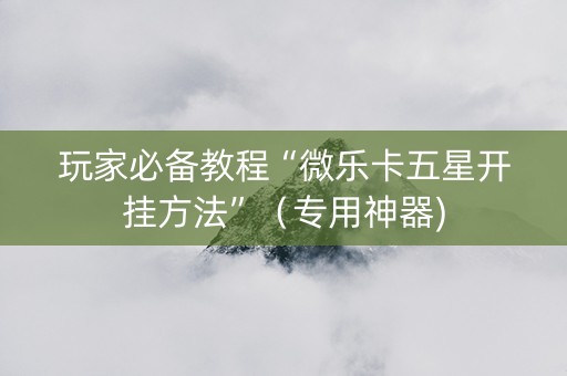 玩家必备教程“微乐卡五星开挂方法”（专用神器)