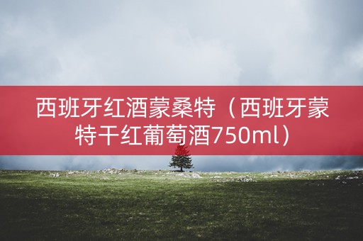 西班牙红酒蒙桑特（西班牙蒙特干红葡萄酒750ml）