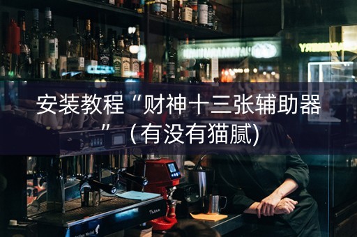 安装教程“财神十三张辅助器”（有没有猫腻)