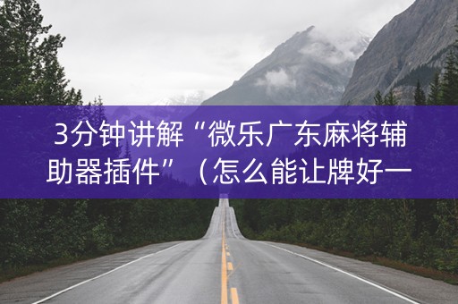 3分钟讲解“微乐广东麻将辅助器插件”（怎么能让牌好一点)