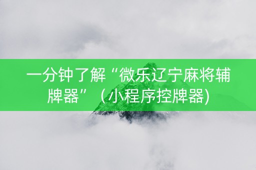 一分钟了解“微乐辽宁麻将辅牌器”（小程序控牌器)
