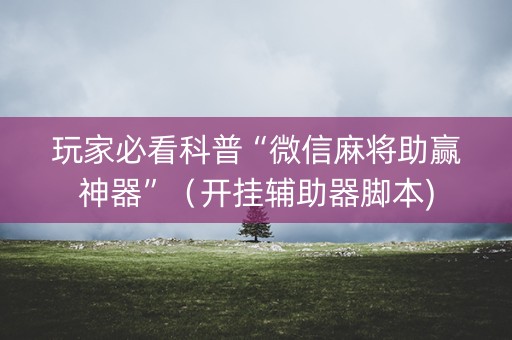 玩家必看科普“微信麻将助赢神器”（开挂辅助器脚本)
