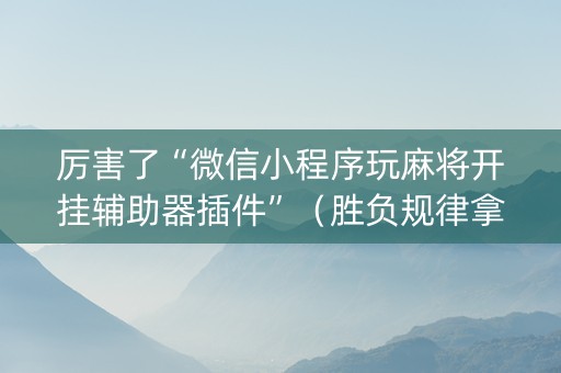 厉害了“微信小程序玩麻将开挂辅助器插件”（胜负规律拿好牌)