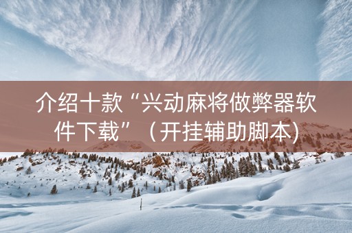 介绍十款“兴动麻将做弊器软件下载”（开挂辅助脚本)