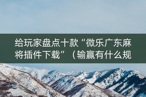 给玩家盘点十款“微乐广东麻将插件下载”（输赢有什么规律)