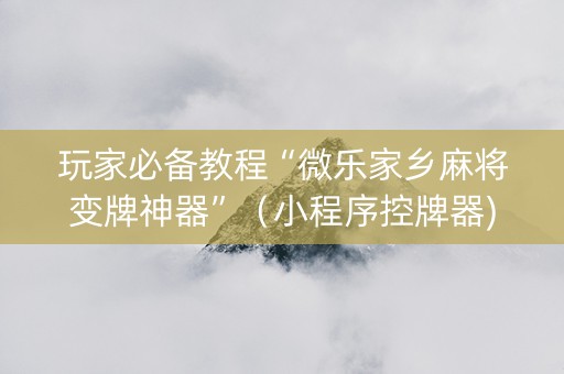 玩家必备教程“微乐家乡麻将变牌神器”（小程序控牌器)