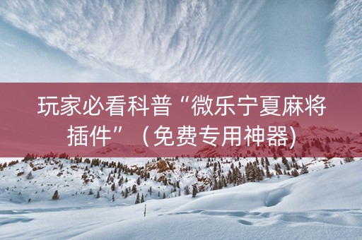 玩家必看科普“微乐宁夏麻将插件”（免费专用神器)