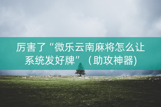 厉害了“微乐云南麻将怎么让系统发好牌”（助攻神器)