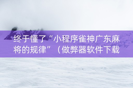终于懂了“小程序雀神广东麻将的规律”（做弊器软件下载)