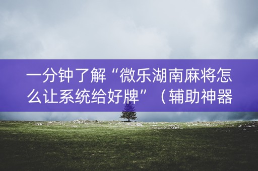 一分钟了解“微乐湖南麻将怎么让系统给好牌”（辅助神器免费)