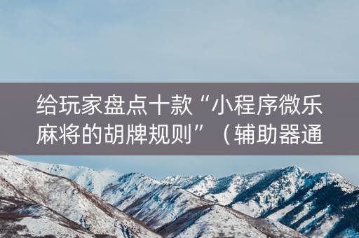 给玩家盘点十款“小程序微乐麻将的胡牌规则”（辅助器通用版)