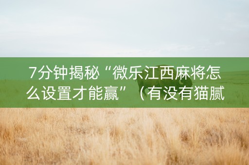 7分钟揭秘“微乐江西麻将怎么设置才能赢”（有没有猫腻)