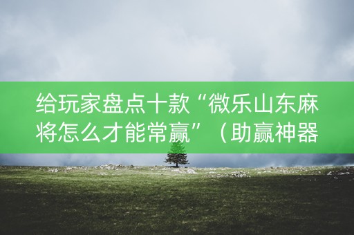 给玩家盘点十款“微乐山东麻将怎么才能常赢”（助赢神器)