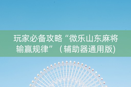 玩家必备攻略“微乐山东麻将输赢规律”（辅助器通用版)