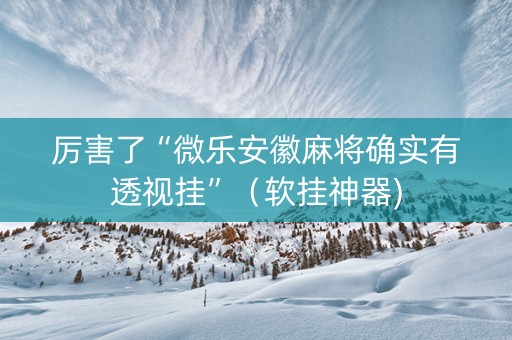厉害了“微乐安徽麻将确实有透视挂”（软挂神器)