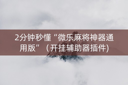 2分钟秒懂“微乐麻将神器通用版”（开挂辅助器插件)