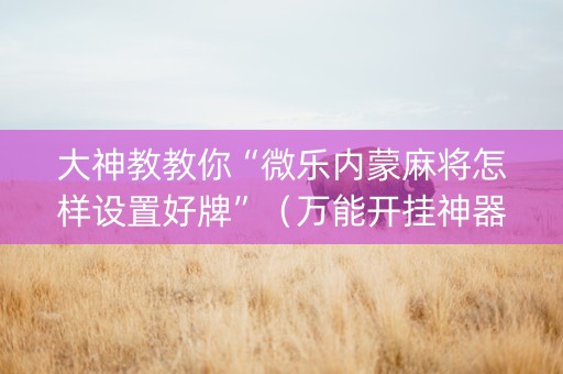大神教教你“微乐内蒙麻将怎样设置好牌”（万能开挂神器)