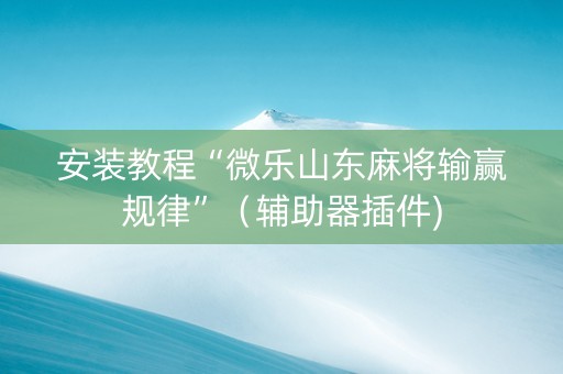 安装教程“微乐山东麻将输赢规律”（辅助器插件)