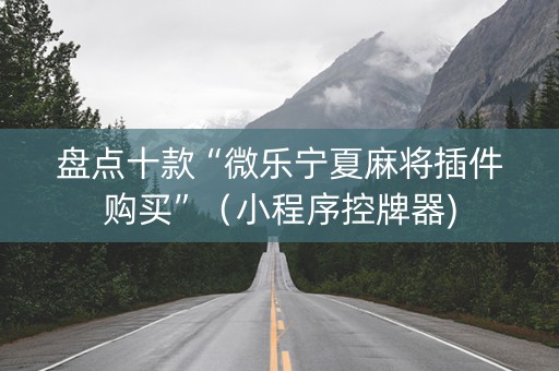 盘点十款“微乐宁夏麻将插件购买”（小程序控牌器)