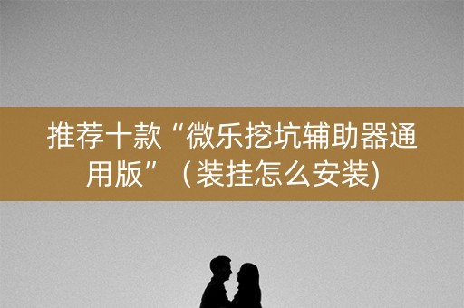 推荐十款“微乐挖坑辅助器通用版”（装挂怎么安装)