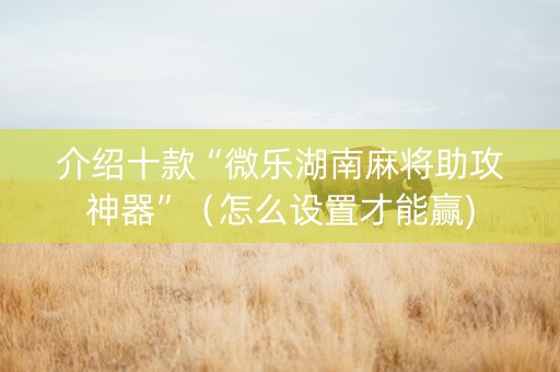 介绍十款“微乐湖南麻将助攻神器”（怎么设置才能赢)