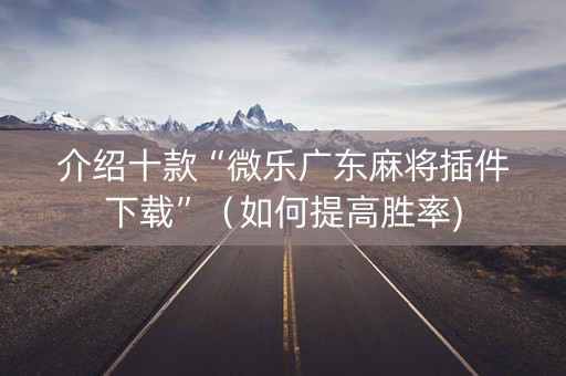 介绍十款“微乐广东麻将插件下载”（如何提高胜率)