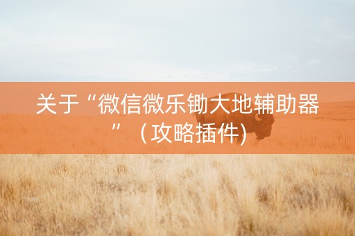 关于“微信微乐锄大地辅助器”（攻略插件)
