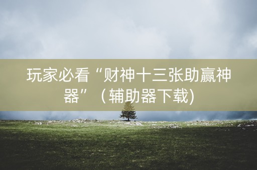 玩家必看“财神十三张助赢神器”（辅助器下载)