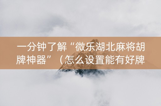 一分钟了解“微乐湖北麻将胡牌神器”（怎么设置能有好牌)
