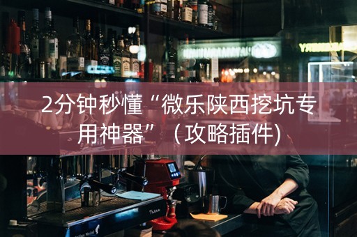 2分钟秒懂“微乐陕西挖坑专用神器”（攻略插件)