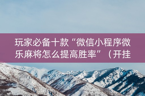 玩家必备十款“微信小程序微乐麻将怎么提高胜率”（开挂神器下载)
