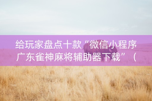 给玩家盘点十款“微信小程序广东雀神麻将辅助器下载”（怎么能调好牌)