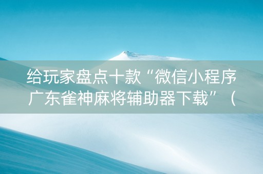 给玩家盘点十款“微信小程序广东雀神麻将辅助器下载”（开挂神器下载)