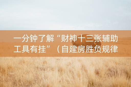 一分钟了解“财神十三张辅助工具有挂”（自建房胜负规律)