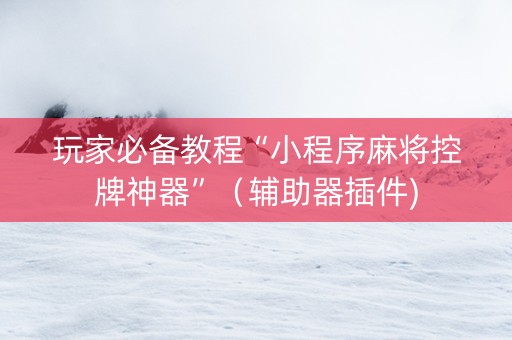 玩家必备教程“小程序麻将控牌神器”（辅助器插件)