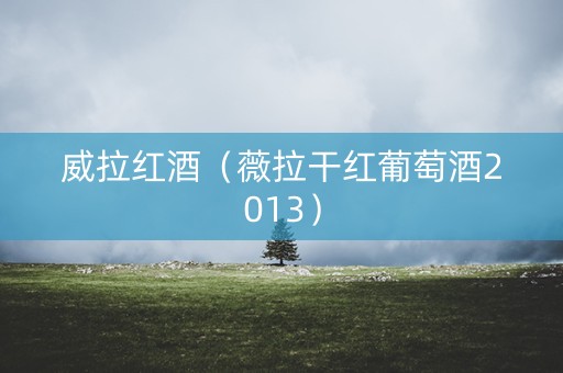 威拉红酒（薇拉干红葡萄酒2013）