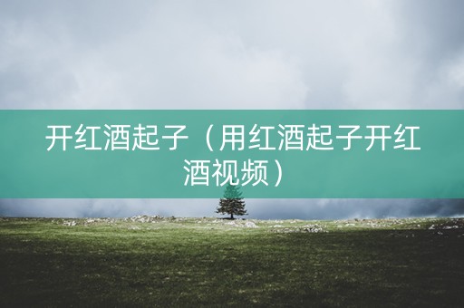 开红酒起子（用红酒起子开红酒视频）