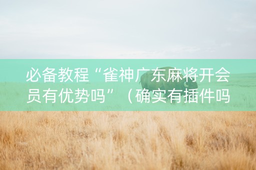 必备教程“雀神广东麻将开会员有优势吗”（确实有插件吗)