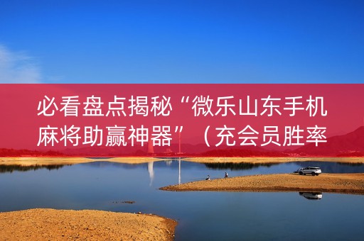 必看盘点揭秘“微乐山东手机麻将助赢神器”（充会员胜率高)