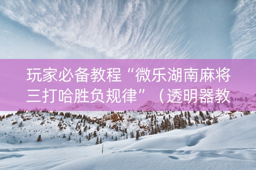 玩家必备教程“微乐湖南麻将三打哈胜负规律”（透明器教程)