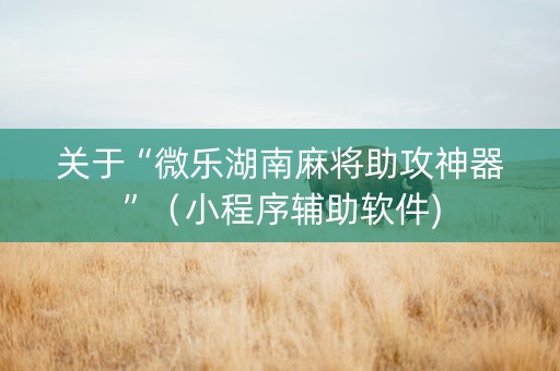 关于“微乐湖南麻将助攻神器”（小程序辅助软件)